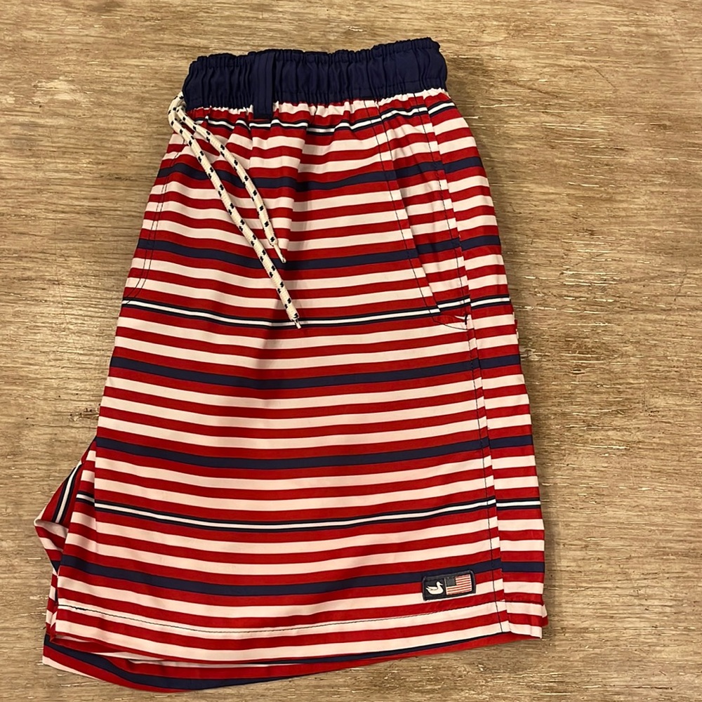 Southern Marsh Swim Trunks